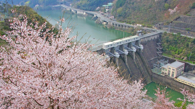 【鹿野川湖の桜／シャクナゲ・ツツジなど】バイク愛好家におススメ♪春のツーリングプラン【夕朝食付】